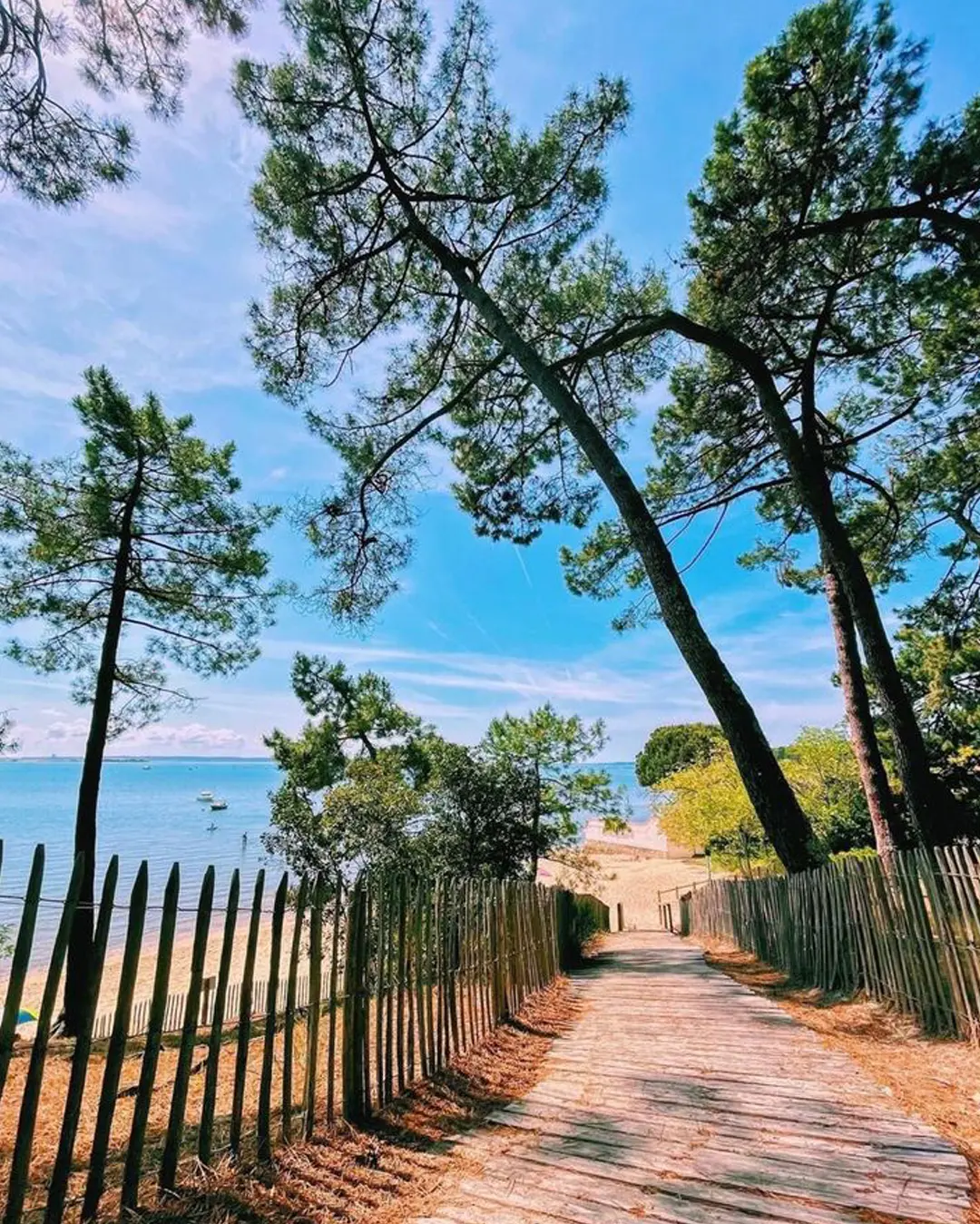 bassin-arcachon