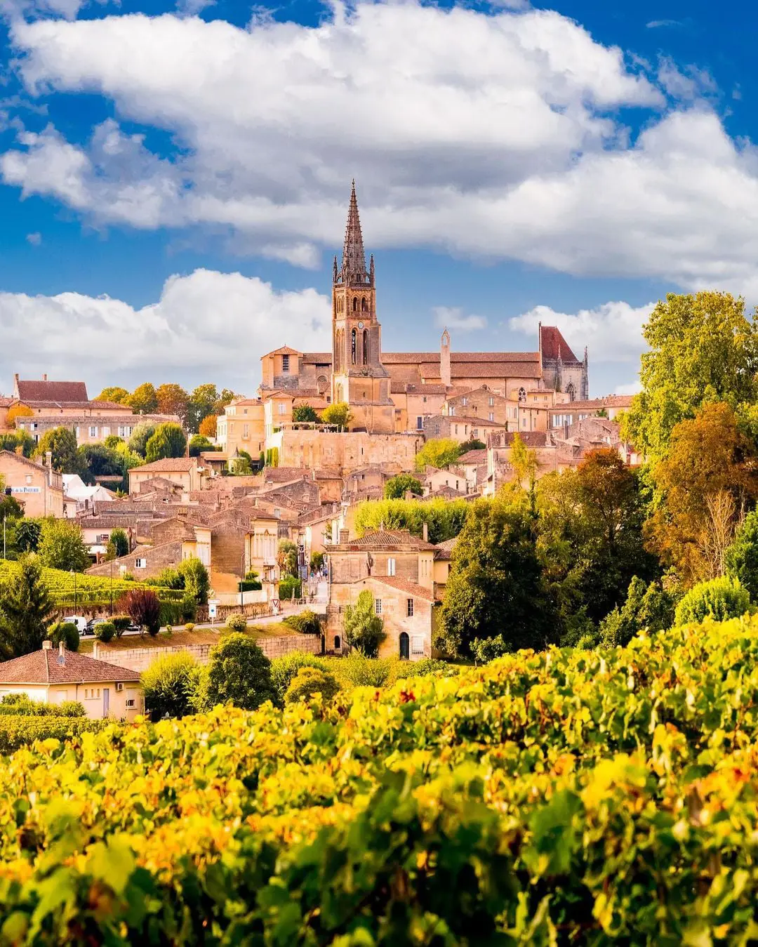 saint-emilion-1